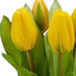 Tulipanbundt Gul 32 cm