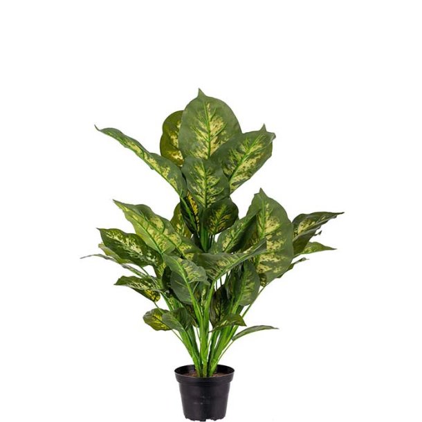 Prikblad gr�n plante 55 cm