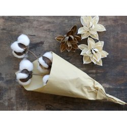 Fleur t�rrede Bomuldsblomster i brunt papir