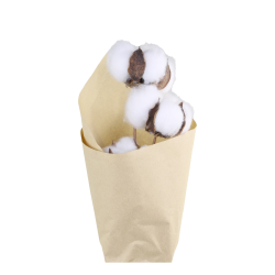 Fleur t�rrede Bomuldsblomster i brunt papir