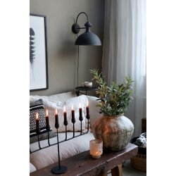 Fleur Oliventr� Lille