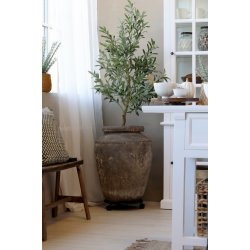 Fleur Oliventr� Stort