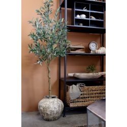 Fleur Oliventr� Stort