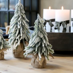 Fleur Grantr� m. sne