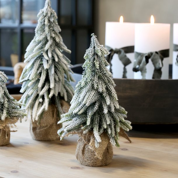 Fleur Grantr� m. sne