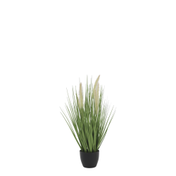 Fleur Sivplante m. r�vehaler 52 cm - lille