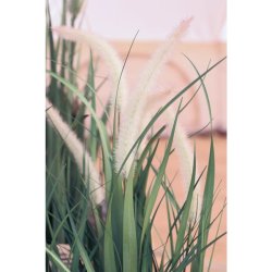 Fleur Sivplante m. r�vehaler 52 cm - lille
