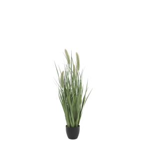 Fleur Sivplante m. r�vehaler 90 cm - stor