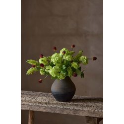 Astilbe