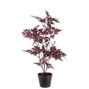 Silverax Bordeaux 75 cm