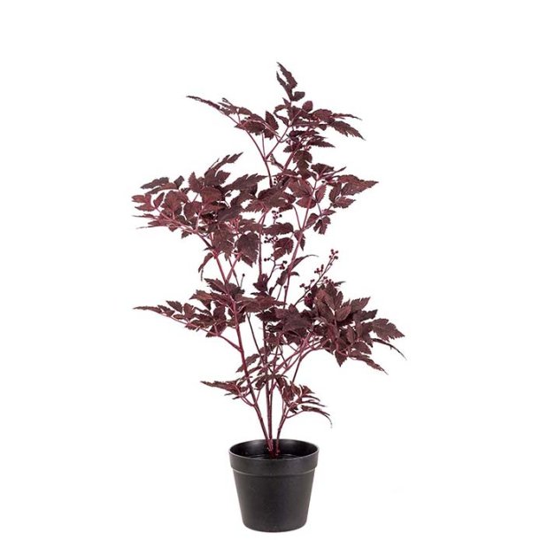 Silverax Bordeaux 75 cm