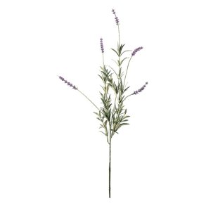 Lavendel Stilk 65 cm