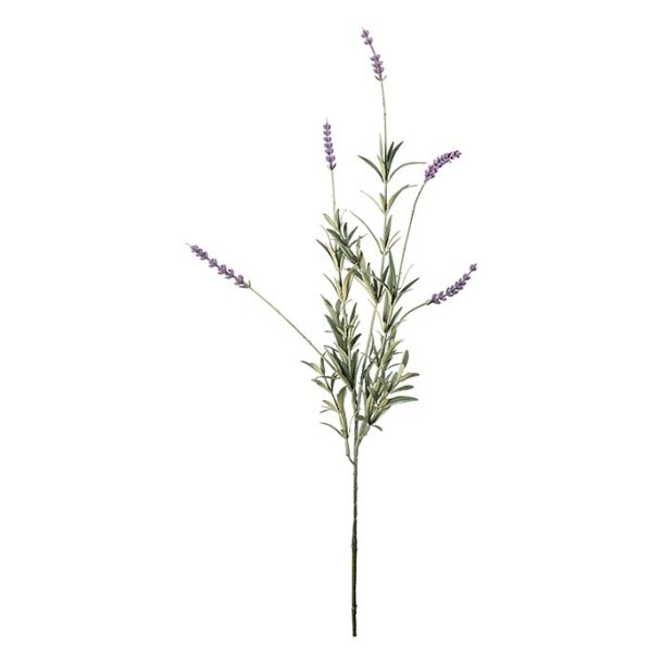 Lavendel Stilk 65 cm