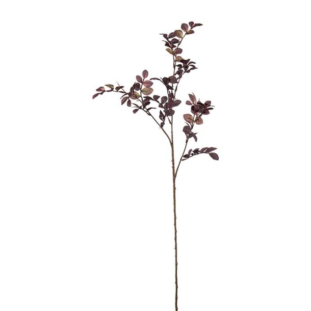 Kvist Bordeaux 78 cm