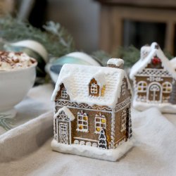 No�l Kagehus m. LED