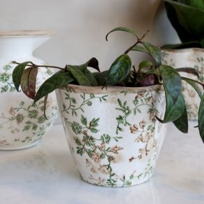 Grasse Potteskjuler m. grenmotiv