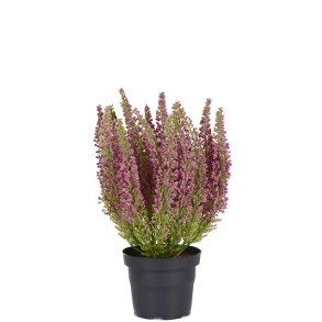 Lyng R�d i plastpotte 28 cm