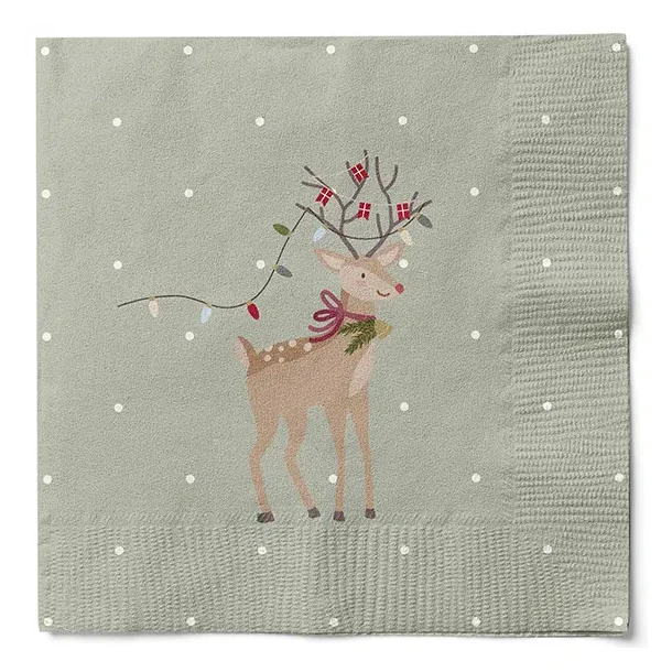 Serviet Christmas Holidays