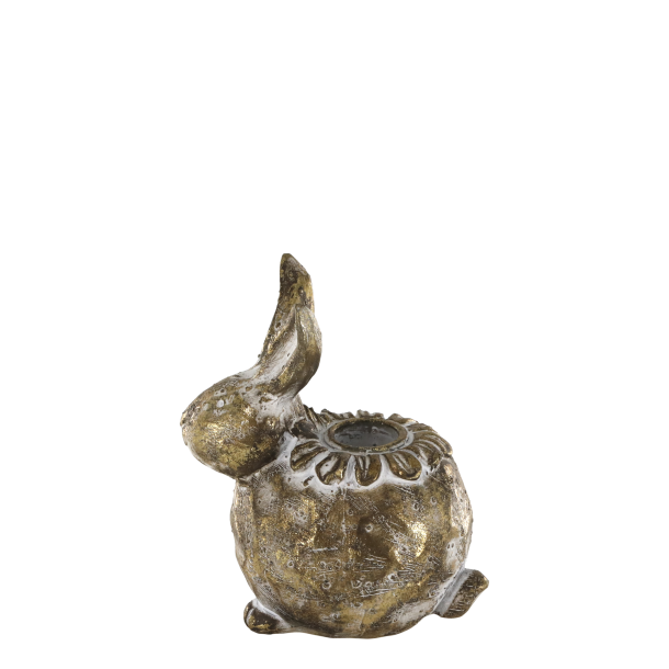 Lysestage hare - h�j