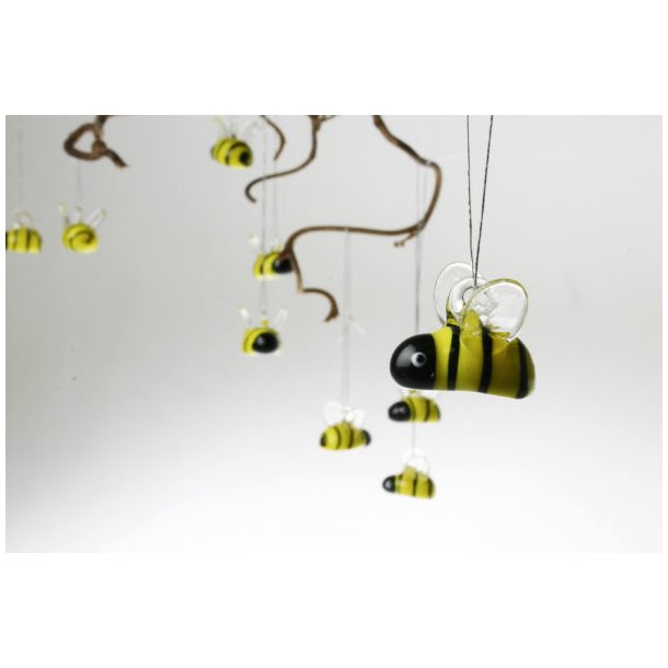 Glas Bi oph�ng