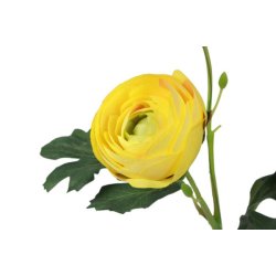 Ranunkel gul 34 cm