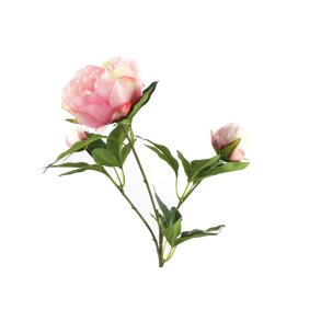 P�on p� stilk rosa 73 cm