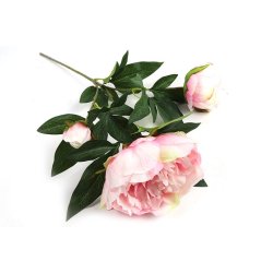 P�on p� stilk rosa 73 cm