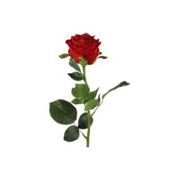 Rose r�d 70 cm