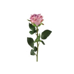 Rose lilla 70 cm