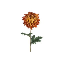 Chrysanthemum Orange 75 cm