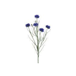 Kornblomst bl� 66 cm