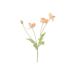 Valmue abrikos 61 cm