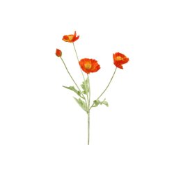 Valmue oranger�d 61 cm