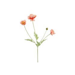 Valmue sart rosa 61 cm