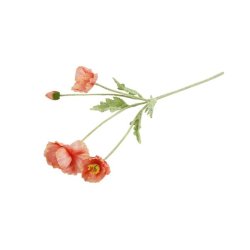 Valmue sart rosa 61 cm