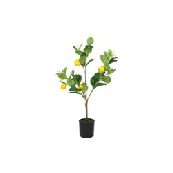 Citrontr� i potte 61 cm