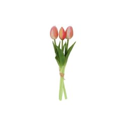 Tulipanbundt Peach 29 cm