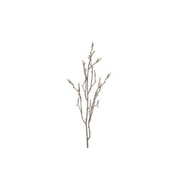 Salix Gren 75 cm