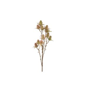 Tidsel stilk 65 cm