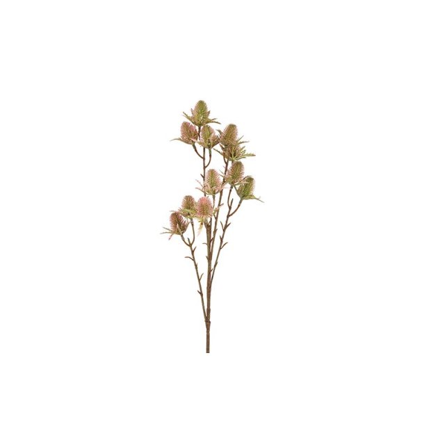 Tidsel stilk 65 cm