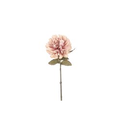 Dahlia Lys Rosa 57 cm