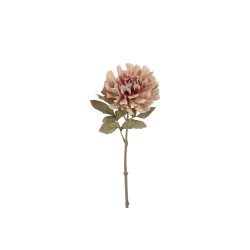 Dahlia Sand 57 cm