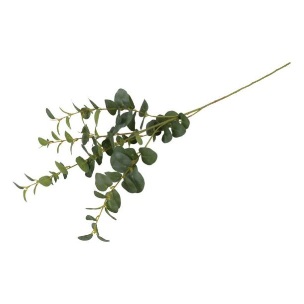 Eucalyptus gr�n 94 cm