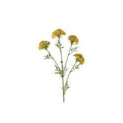 Sk�rmblomst gul 72 cm