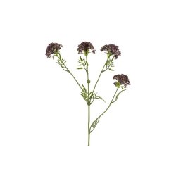 Sk�rmblomst lilla 72 cm