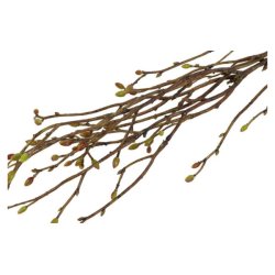 Tilia grene - bundt m. 3 stk