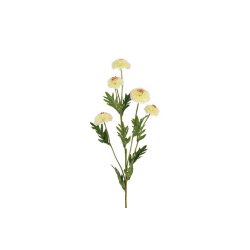 Helichrysum hvid 68 cm