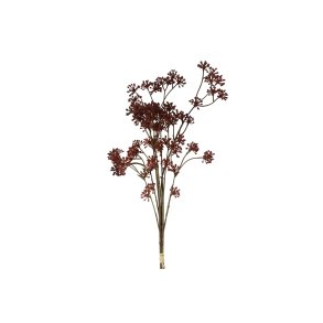 Anthriscus Bordeaux 67 cm