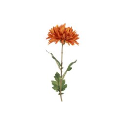 Chrysanthemum Orange 68 cm