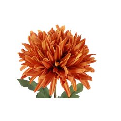 Chrysanthemum Orange 68 cm